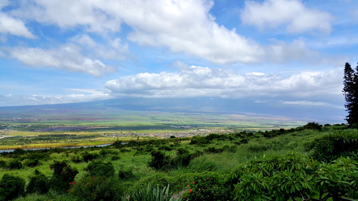 Kapalua - Rachel Ball Phillips REALTOR